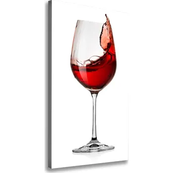 Obraz Vertikální Foto obraz na plátně Červené víno