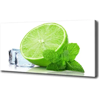 Obraz Foto obraz na plátně Limetka s ledem