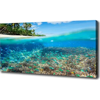 Obraz Foto obraz na plátně Korálový útes