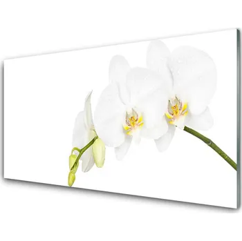 Obraz Obraz na skle Květiny Rostlina Příroda 125x50 cm 2 Přívěsky