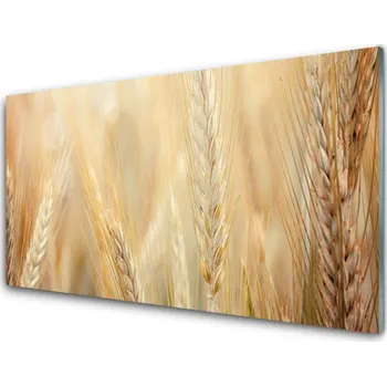 Obraz Obraz na skle Pšenice Rostlina Příroda 100x50 cm 4 Přívěsky