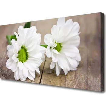 Obraz Obraz na plátně Květiny Rostlina Příroda 120x60 cm