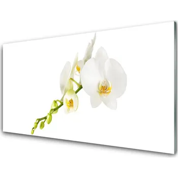 Obraz Obraz na skle Květiny Rostlina Příroda 125x50 cm 2 Přívěsky