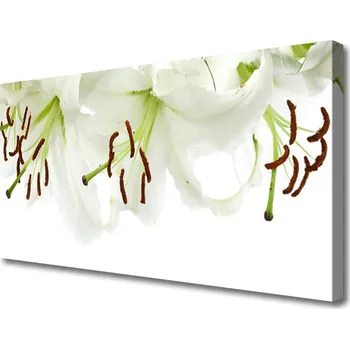 Obraz Obraz na plátně Květiny Rostlina Příroda 120x60 cm