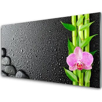 Obraz Obraz na skle Bambus Stonek Květ Rostlina 120x60 cm 2 Přívěsky