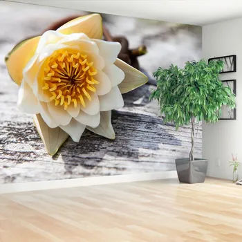 Fototapeta Fototapeta Leknín 104x70