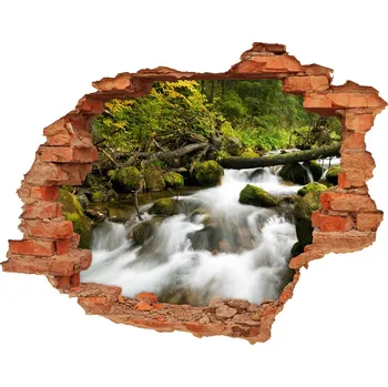 Fototapeta Díra 3D ve zdi nálepka Potok Olczyski