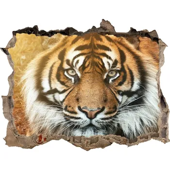 Fototapeta Díra 3D fototapeta na stěnu Bengálský tygr