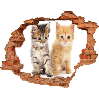 Fototapeta Díra 3D fototapeta na stěnu Hnědá a červená kočka