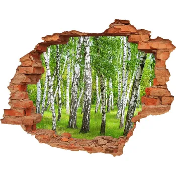 Fototapeta Nálepka fototapeta 3D výhled Břízový les