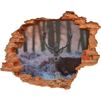 Fototapeta Díra 3D foto tapeta nálepka Jelen východ slunce