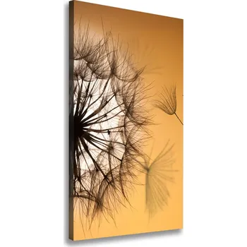 Obraz Vertikální Vertikální Foto obraz na plátně do obýváku Pampeliška