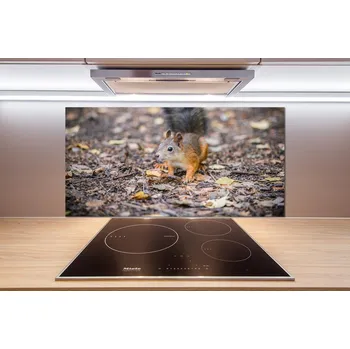 Obklad Skleněný panel do kuchynské linky Veverka