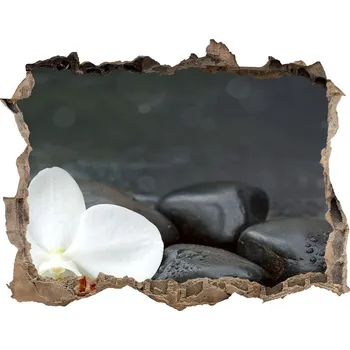 Fototapeta Samolepící nálepka fototapeta Orchidej