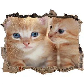 Fototapeta Díra 3D fototapeta nálepka Koťátka