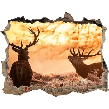 Fototapeta Díra 3D fototapeta nálepka Jeleni východ