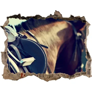 Fototapeta Díra 3D fototapeta Sedlo