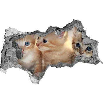 Fototapeta Díra 3D fototapeta nálepka Koťátka