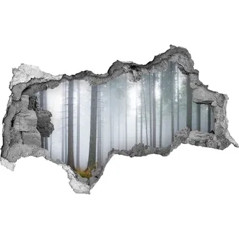 Fototapeta Nálepka fototapeta 3D výhled Mlha v lese