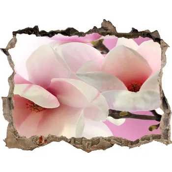 Fototapeta Samolepící díra nálepka Magnolie