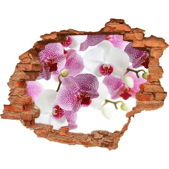 Fototapeta Fototapeta nálepka na zeď Fototapeta orchidej