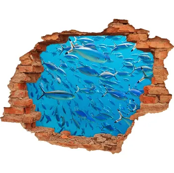 Fototapeta Díra 3D fototapeta nálepka Korálové ryby