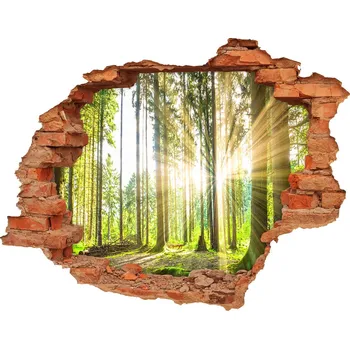 Fototapeta Díra 3D foto tapeta nálepka Les slunce