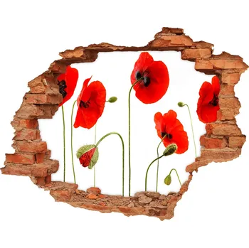 Fototapeta Samolepící nálepka fototapeta Máky