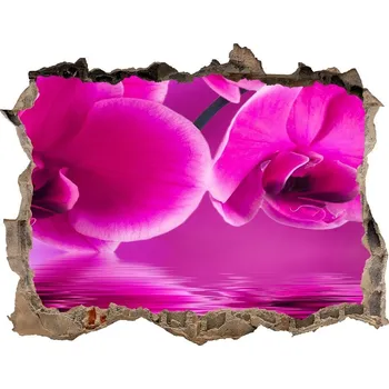 Fototapeta Samolepící díra nálepka Orchidej