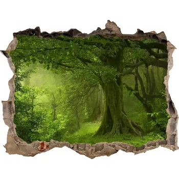 Fototapeta Díra 3D ve zdi nálepka Tropická džungle