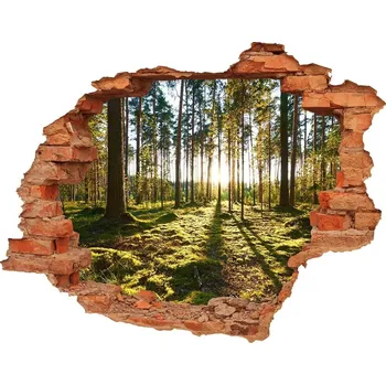 Fototapeta Nálepka fototapeta 3D na zeď Sosnový les