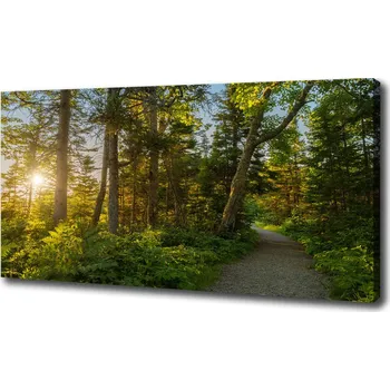 Obraz WallMuralia.cz Les oc-67684671 120 x 80 cm Les