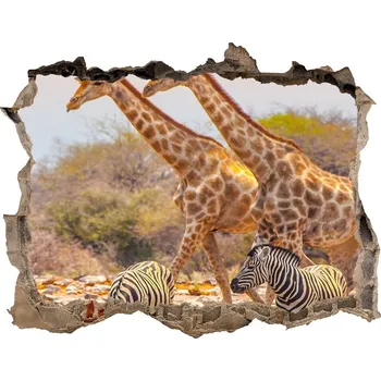 Fototapeta Díra 3D fototapeta nálepka Žirafy a zebry