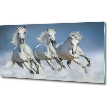Obraz Foto-obraz na skle horizontální Koně ve cvalu