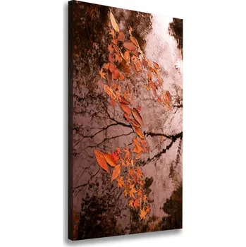 Obraz Vertikální Foto obraz na plátně Podzimní listí