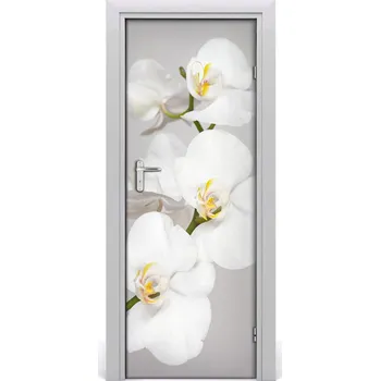 Fototapeta Fototapeta na dveře Bílá orchidej 75x205 cm