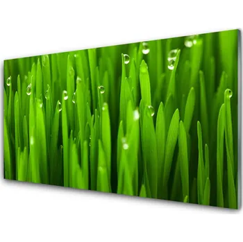 Obraz Obraz na skle Tráva Příroda Rostlina 125x50 cm 2 Přívěsky