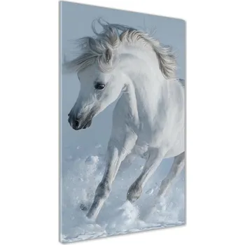 Obraz Foto obraz akrylový vertikální Bílý kůň cval