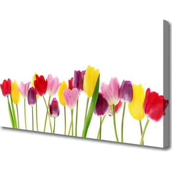 Obraz Obraz na plátně Tulipány Květiny Rostlina 125x50 cm