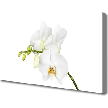 Obraz Obraz na plátně Orchidej Květiny Příroda 140x70 cm