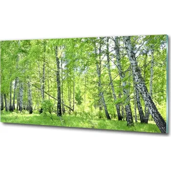 Obraz Foto obraz fotografie na skle Břízový les