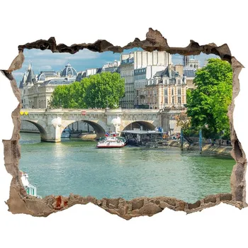 Fototapeta Fototapeta díra na zeď 3D Seina Paříž
