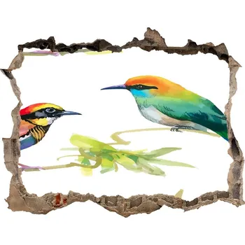 Fototapeta Díra 3D fototapeta na stěnu Egzotičtí ptáci