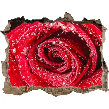 Fototapeta Samolepící díra Kapky vody na růži