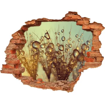 Fototapeta Samolepící díra na stěnu Semena pampelišky