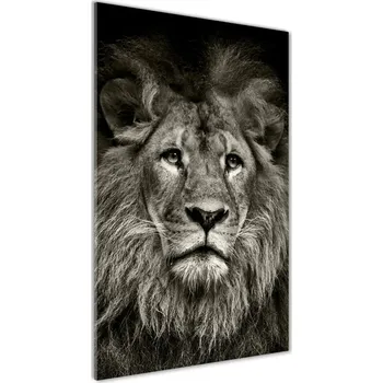 Obraz Vertikální Foto obraz fotografie na skle Lev