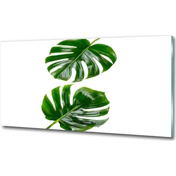 Obraz Foto-obraz fotografie na skle Tropické listí