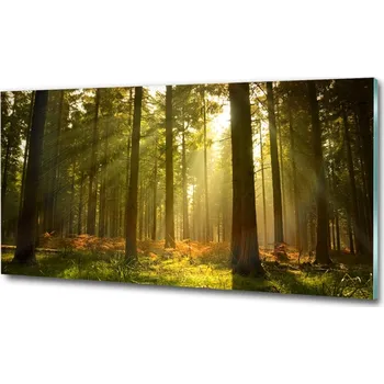 Obraz Fotoobraz na skle Les slunce