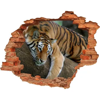 Fototapeta Díra 3D fototapeta nálepka Tygr na stromě