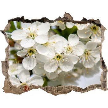 Fototapeta Samolepící díra nálepka Květy višně